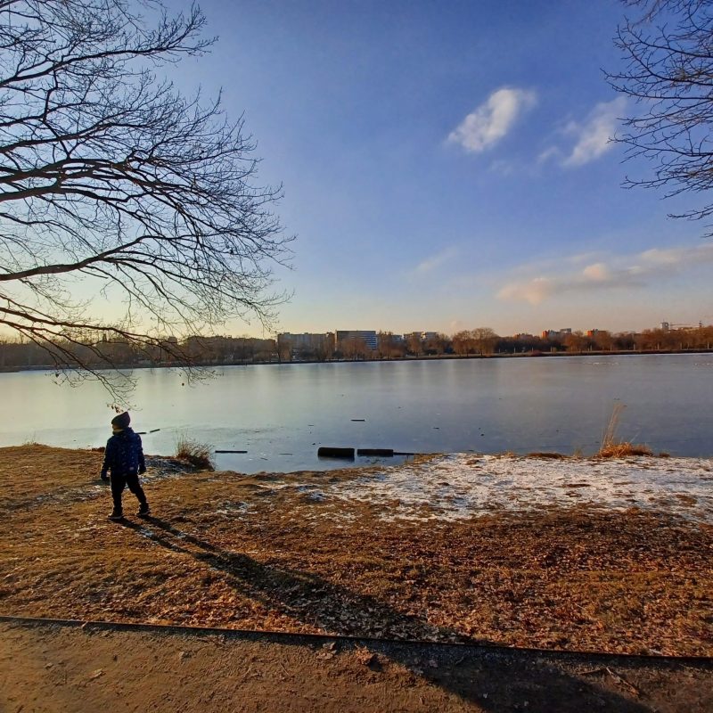 Multimedia (2)_Joanna Hapek-Plata